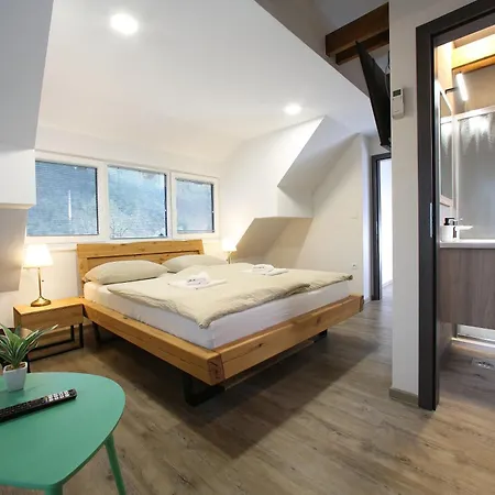 Hisa Pr'pristavc Πανσιόν Bohinj