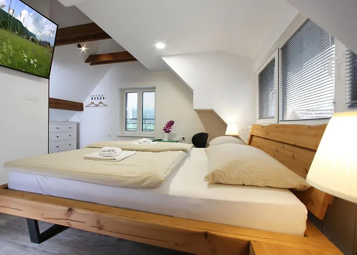 Gasthuis Hisa Pr'pristavc 3*